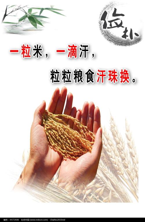 马来西亚驾照怎么购买